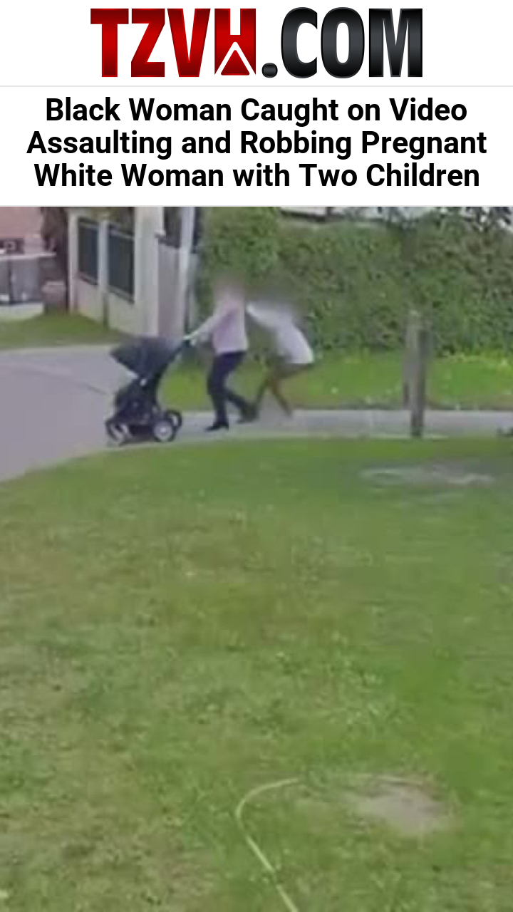 Black Woman Caught on Video Assaulting and Robbing Pregnant White Woman with Two Children