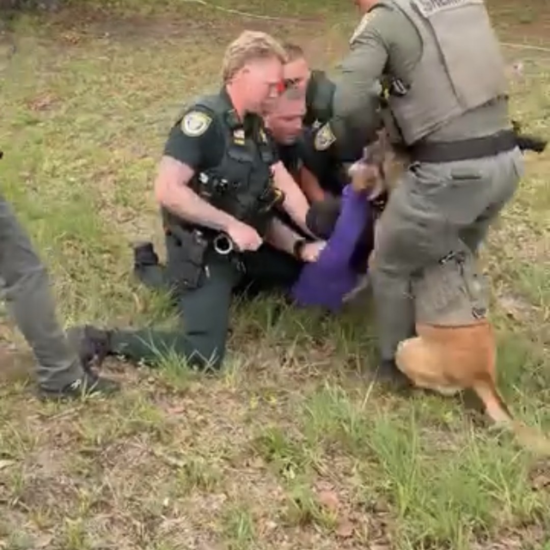 Man Mauled by K-9 After Complying With Police Commands