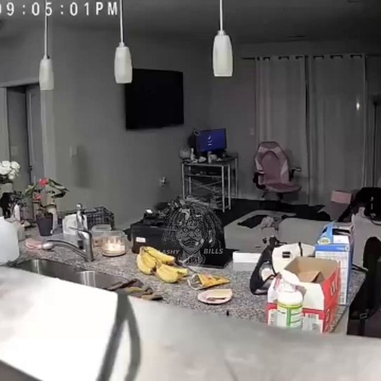 OnlyFans Model Allegedly Attacked by Boyfriend Living Rent-Free