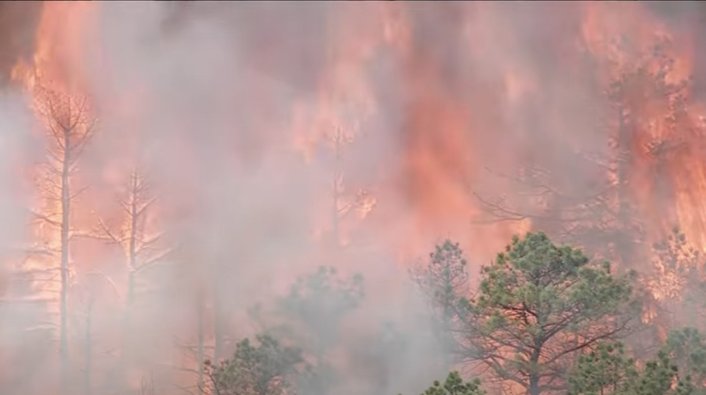 Thousands of NJ Residents Evacuated as Raging Wildfire Consumes 11,500 Acres